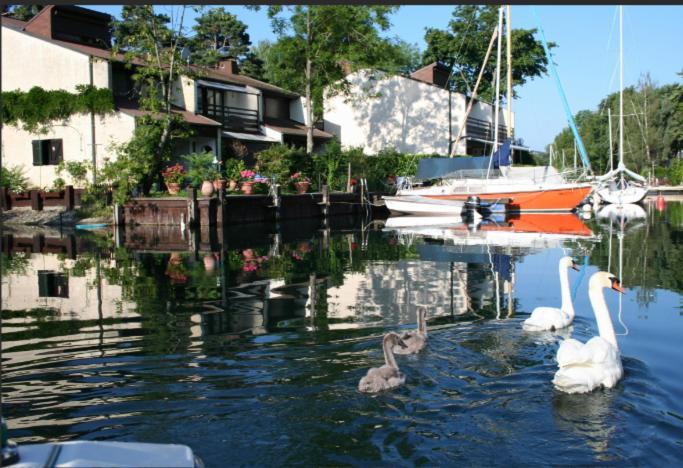 Villa Le Bonheur Les Pieds Dans L'Eau Thonon-les-Bains Exterior foto
